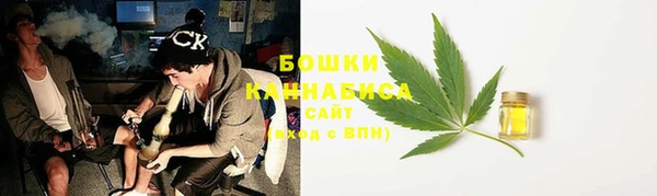 ГАЛЛЮЦИНОГЕННЫЕ ГРИБЫ Балахна