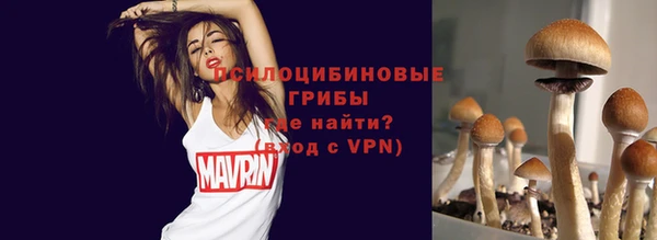 прущие грибы Весьегонск
