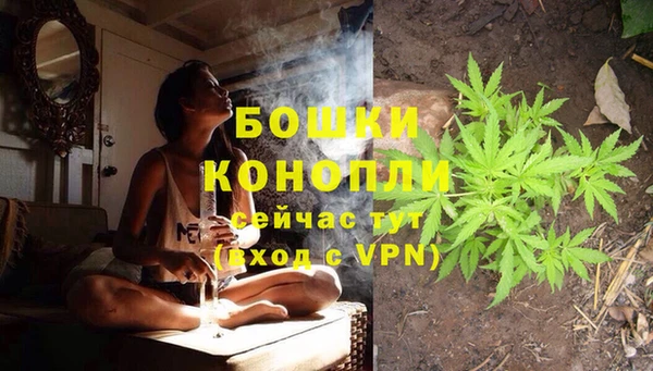 ГАЛЛЮЦИНОГЕННЫЕ ГРИБЫ Армянск